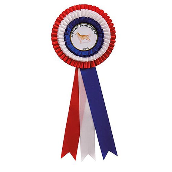 Red White & Blue Rosette 305mm