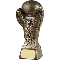 6.25in Gold Boxing Award