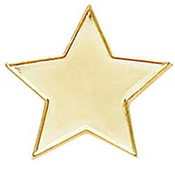 Gold Star Badge 20mm