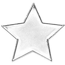 Badge20 Flat Star Silver
