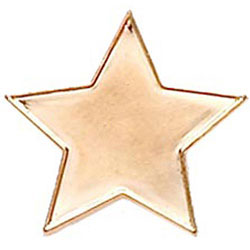 Badge20 Flat Star Bronze