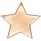 Bronze Star Badge 20mm