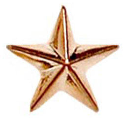 Bronze Raised Star Badge
