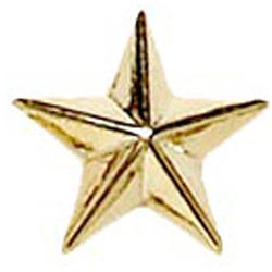 Gold Raised Star Badge