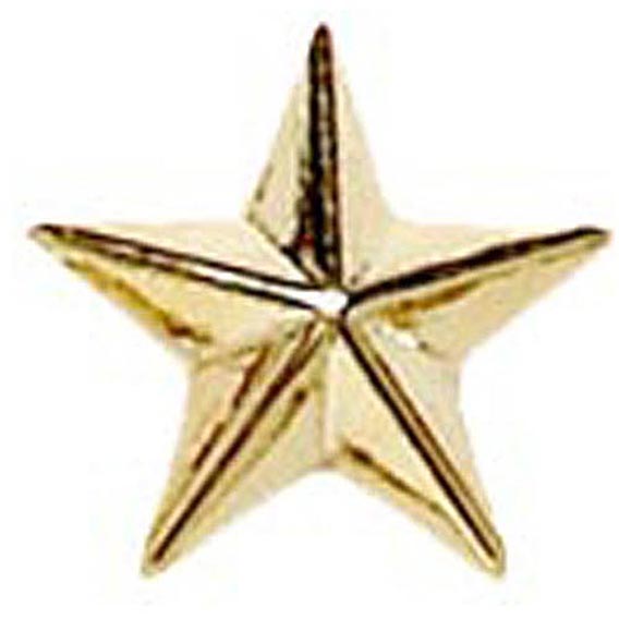 Gold Raised Star Badge 8mm