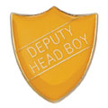 Scholar Pin Badge Deputy Head Boy Yellow 25mm