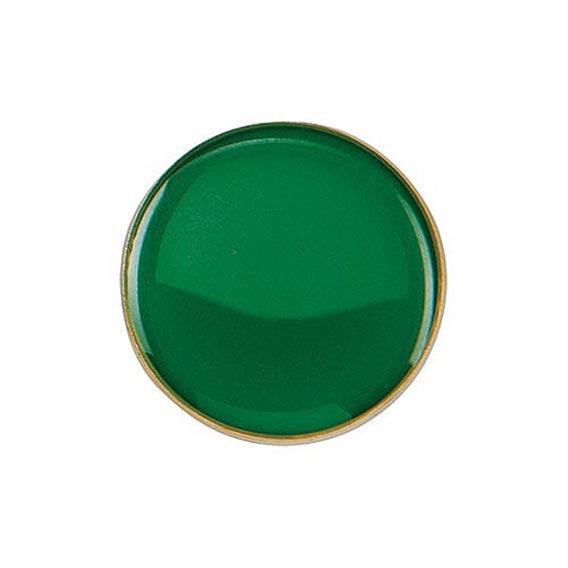 Scholar Pin Badge Round Green 40mm