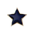 Scholar Pin Badge Star Blue 20mm