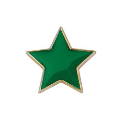 Scholar Pin Badge Star Green 20mm