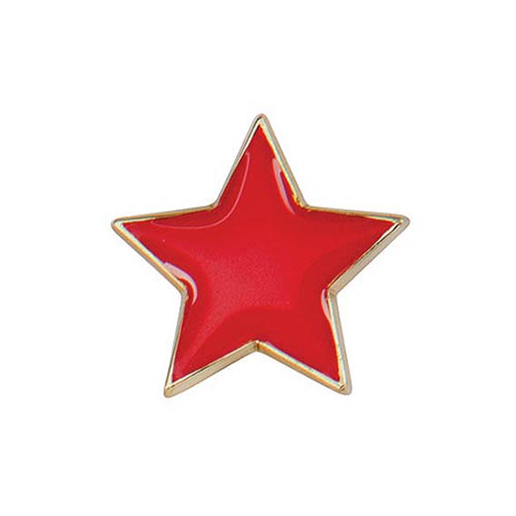 Scholar Pin Badge Star Red 20mm