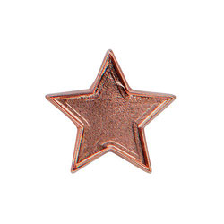 Scholar Pin Badge Star Bronze 20mm