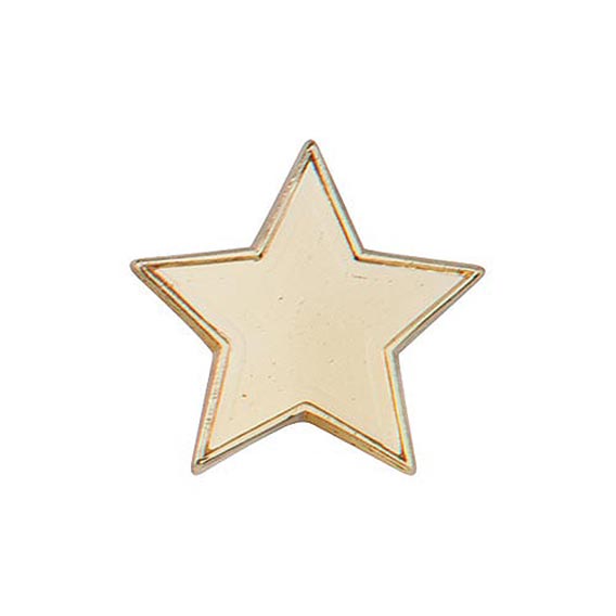 Scholar Pin Badge Star Gold 20mm