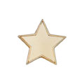 Scholar Pin Badge Star Gold 20mm