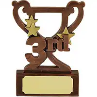 3.25in Mini Cup 3rd Award