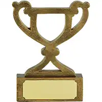 3.25in Mini Cup Gold Award