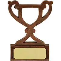 3.25in Mini Cup Bronze Award