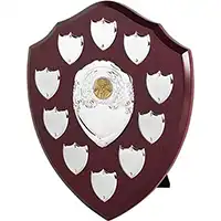 10in Perpetual 10 Silver Shield