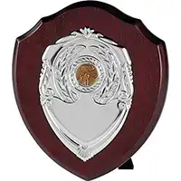 4in Single Silver Shield