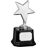 9in Silver Finish Star Award