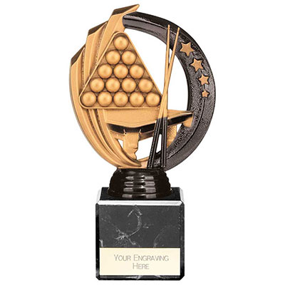 175mm Renegade II Legend Pool Snooker Award