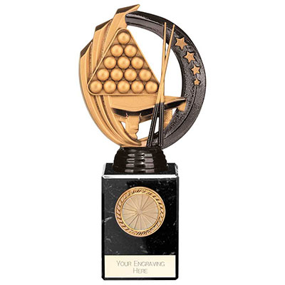 200mm Renegade II Legend Pool Snooker Award