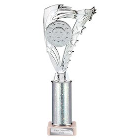 Silver Super Frenzy Trophy 290mm