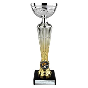 Hyper Silver and Gold Trophy 295mm