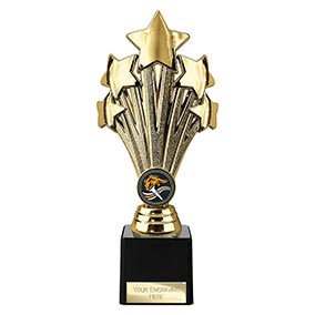 Gold 5 Star Trophy 220mm