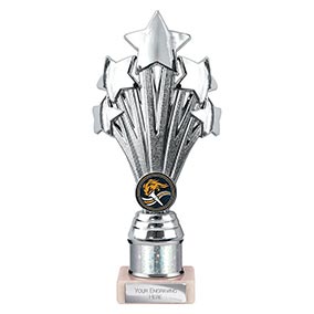 Silver Super 5 Star Trophy 215mm