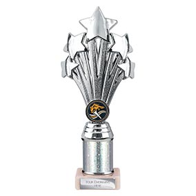 Silver Super 5 Star Trophy 240mm