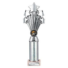 Silver Super 5 Star Trophy 315mm