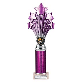 Purple Super 5 Star Trophy 290mm