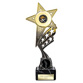 Gold Innov8 Star Trophy 230mm