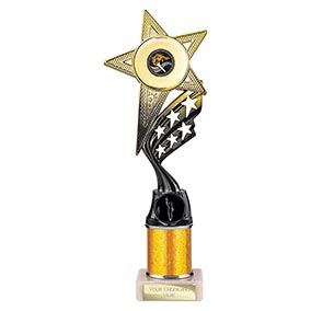 Gold Innov8 Superstar Trophy 275mm