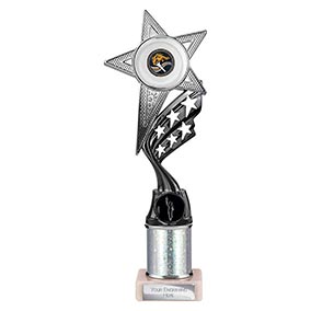Silver Innov8 Superstar Trophy 275mm