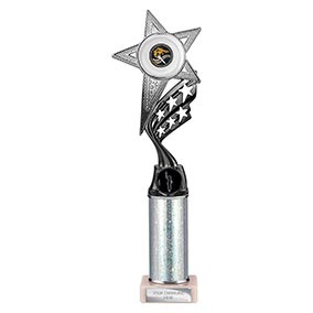Silver Innov8 Superstar Trophy 325mm