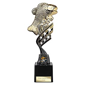 Innov8 Gold Carp Trophy 230mm
