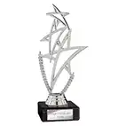 Silver Rising Star Trophy 180mm