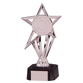 Silver High Star Trophy 195mm