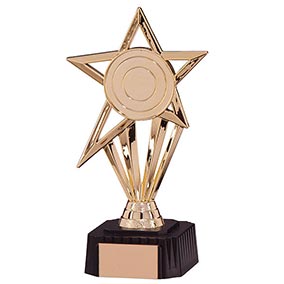 Gold High Star Trophy 210mm