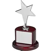 7in Silver Star Award