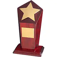 6in Gold Star Column Award