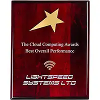 10in x 8in Gold Star Plaque