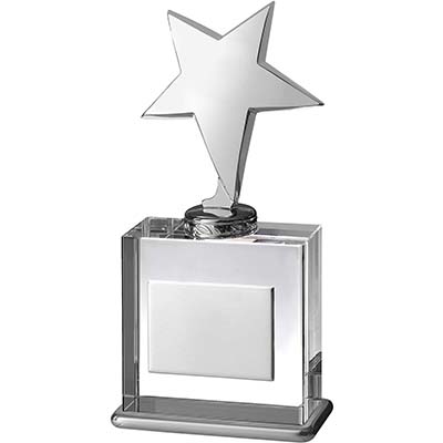 8in Silver Star Crystal Award