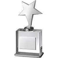 8in Silver Star Crystal Award