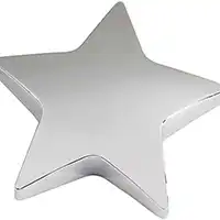 3.75in x 0.75in Silver Finish Star Paperweight