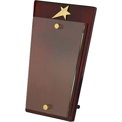 9.25in Gold Glass Star Plaque Award