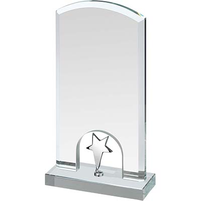 8in Silver Star Crystal Award
