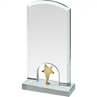 7in Gold Star Crystal Award