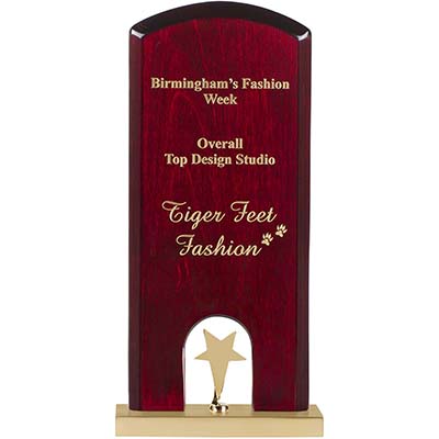 10.25in Gold Star Award